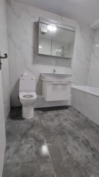 Brand New Flat Close To Turnpike Lane Tube Station London Eksteriør bilde